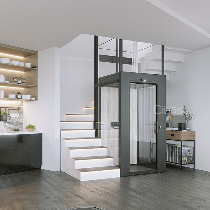 V90 星际版豪华型定制轿厢式别墅电梯