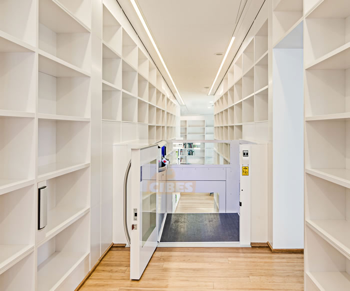 定制半高门家用电梯