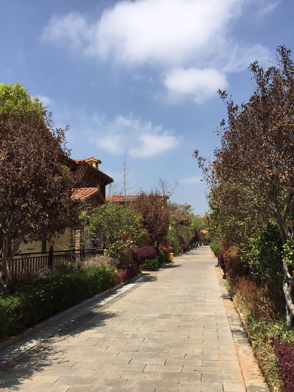 Cibes别墅电梯云南装置案例