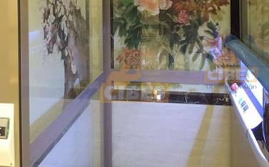 Cibes家用电梯装置于东莞 201603