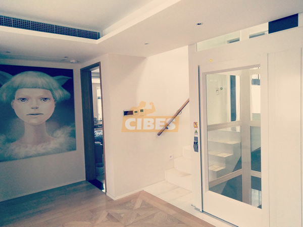 Cibes A5000 上海装置案例 201807