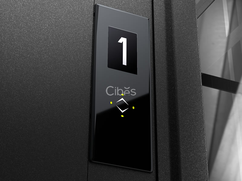 大发500-追求康健,你我一起生长