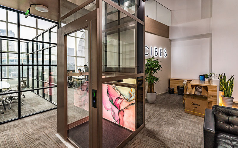 别墅加装电梯方案|CIBES大发500螺杆家用电梯装置历程