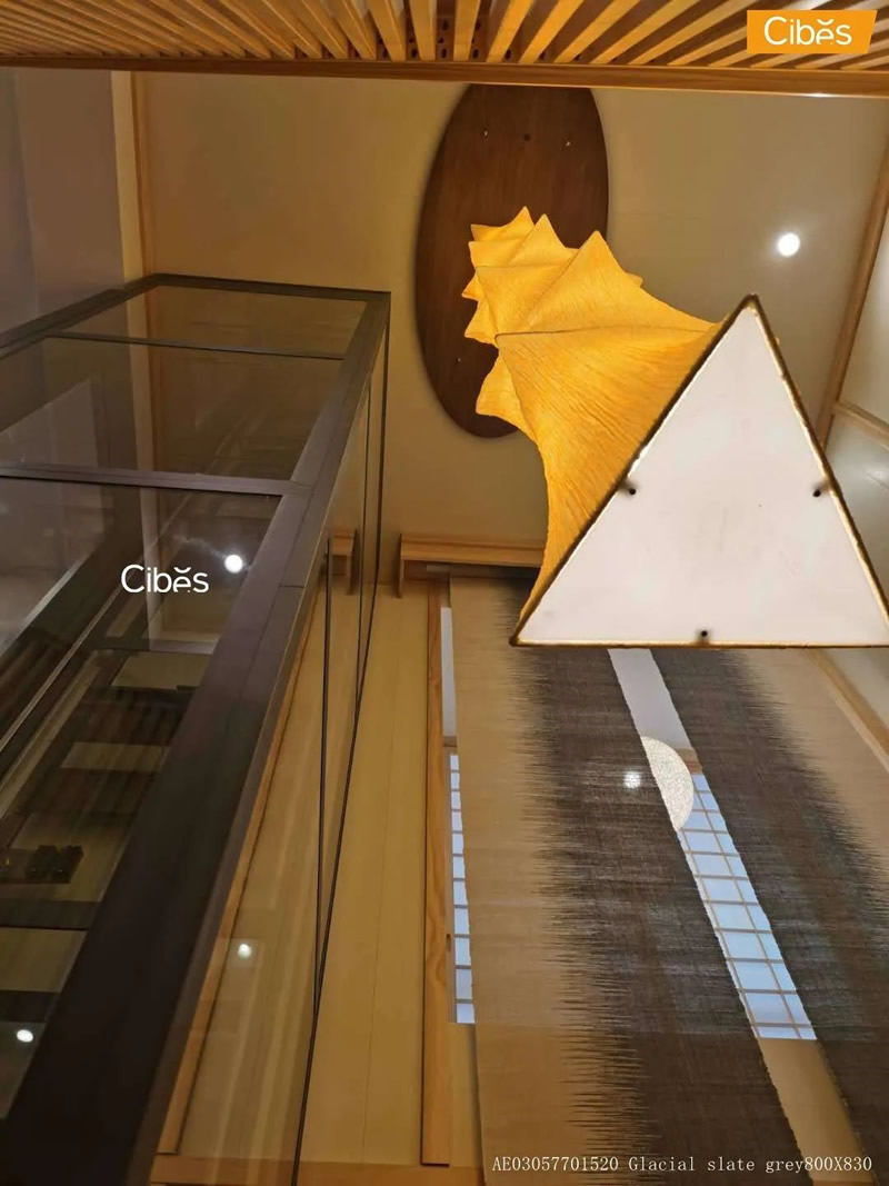  百变家用电梯 看大发500怎样与日式风连系 - Cibes大发500瑞典品牌电梯