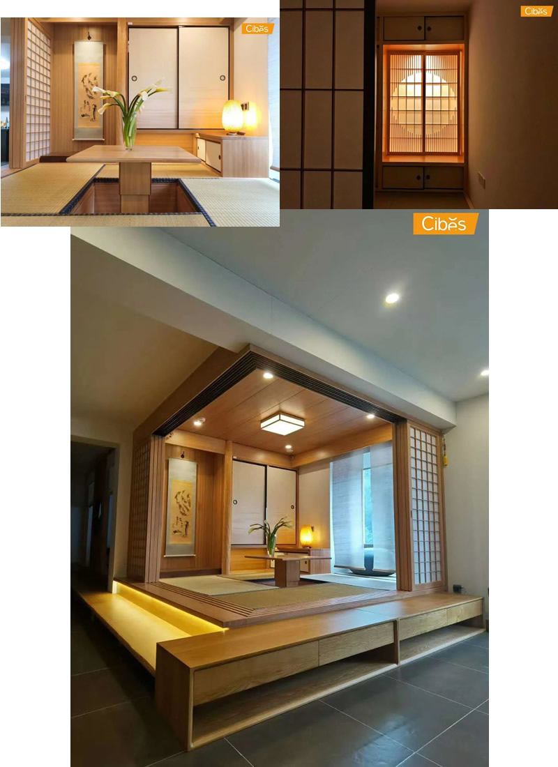  百变家用电梯 看大发500怎样与日式风连系 - Cibes大发500瑞典品牌电梯