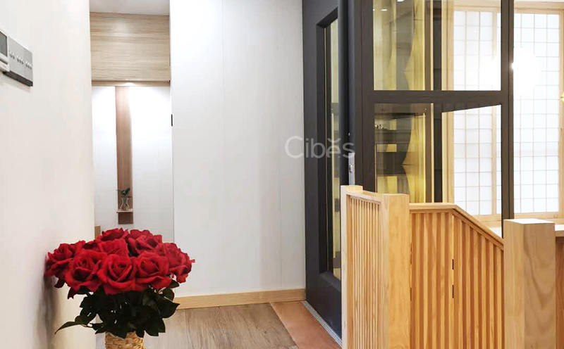  百变家用电梯 看大发500怎样与日式风连系