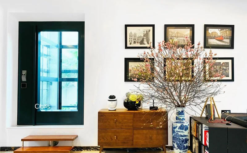 Cibes大发500家用电梯丨空间灵动不受限 位置尺寸随心选