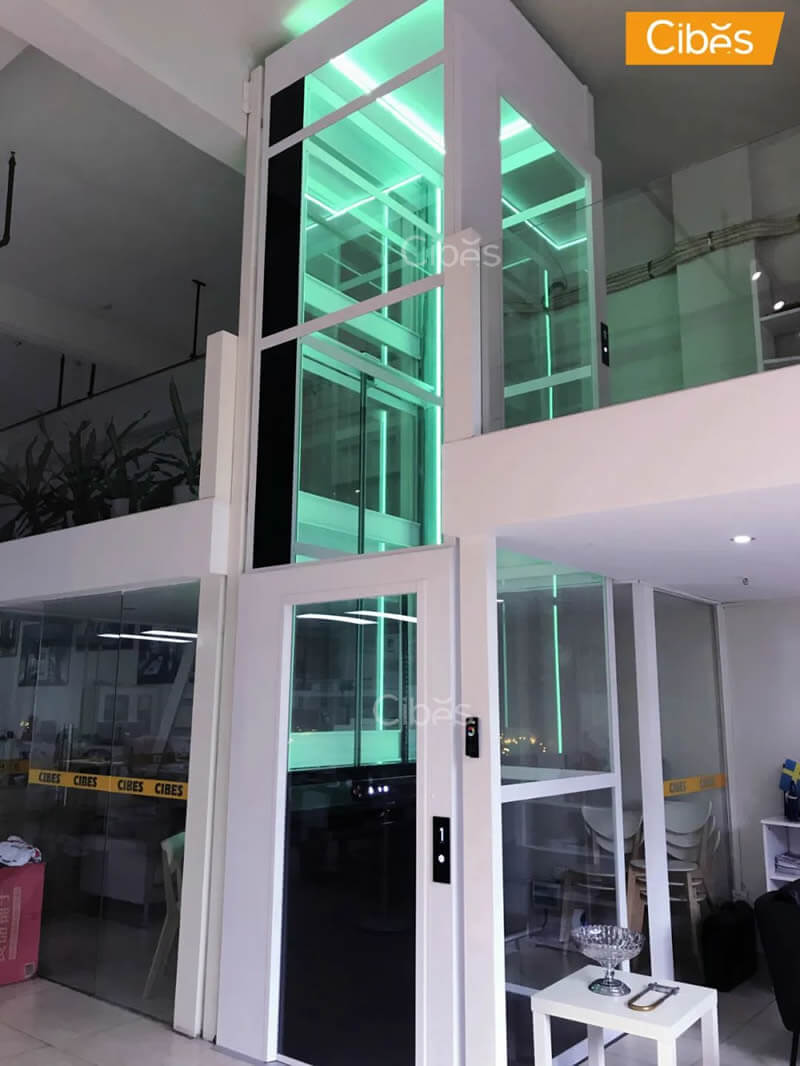 Cibes螺杆电梯装置现场