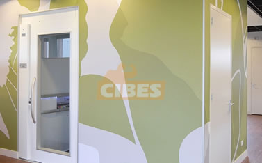 瑞典Cibes（大发500）别墅电梯优势