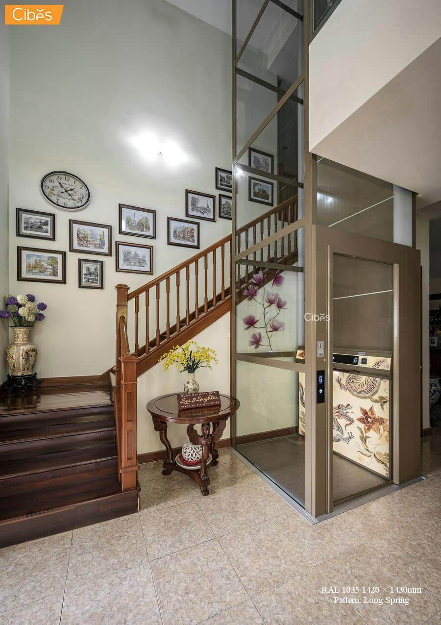 Cibes V80别墅家用电梯越南装置案例-3