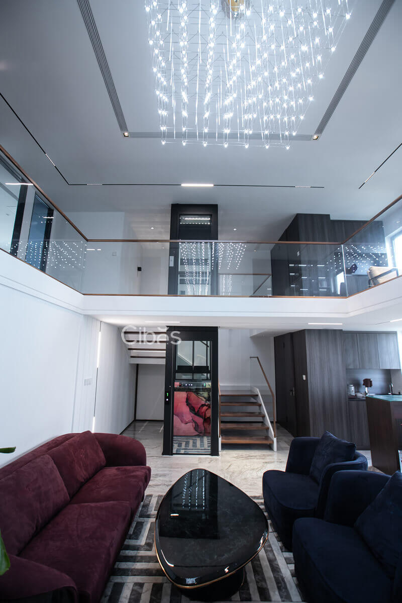 cibes青岛家用电梯-电梯外观展示