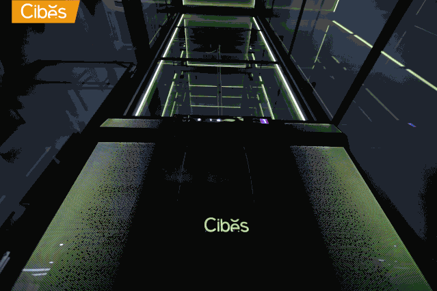 Cibes星际版本V80系列家用电梯