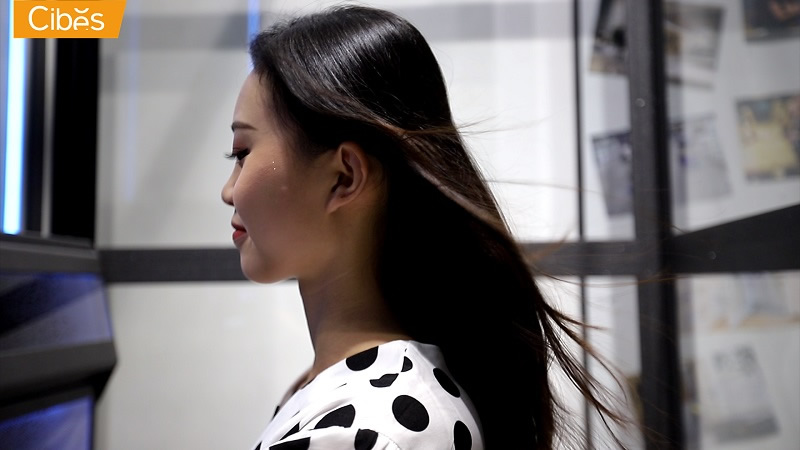 Cibes V80系列家用电梯-自带专利空气循环装置