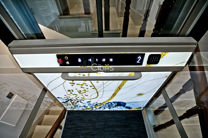 Cibes别墅电梯-福建省漳州案例