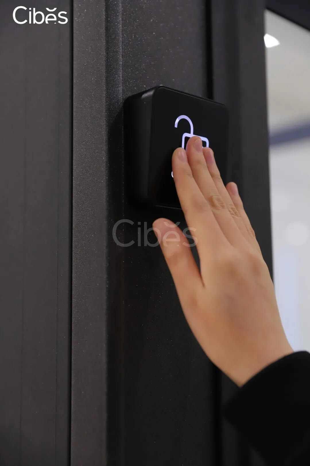 Cibes别墅电梯-自带清静锁功效-图2