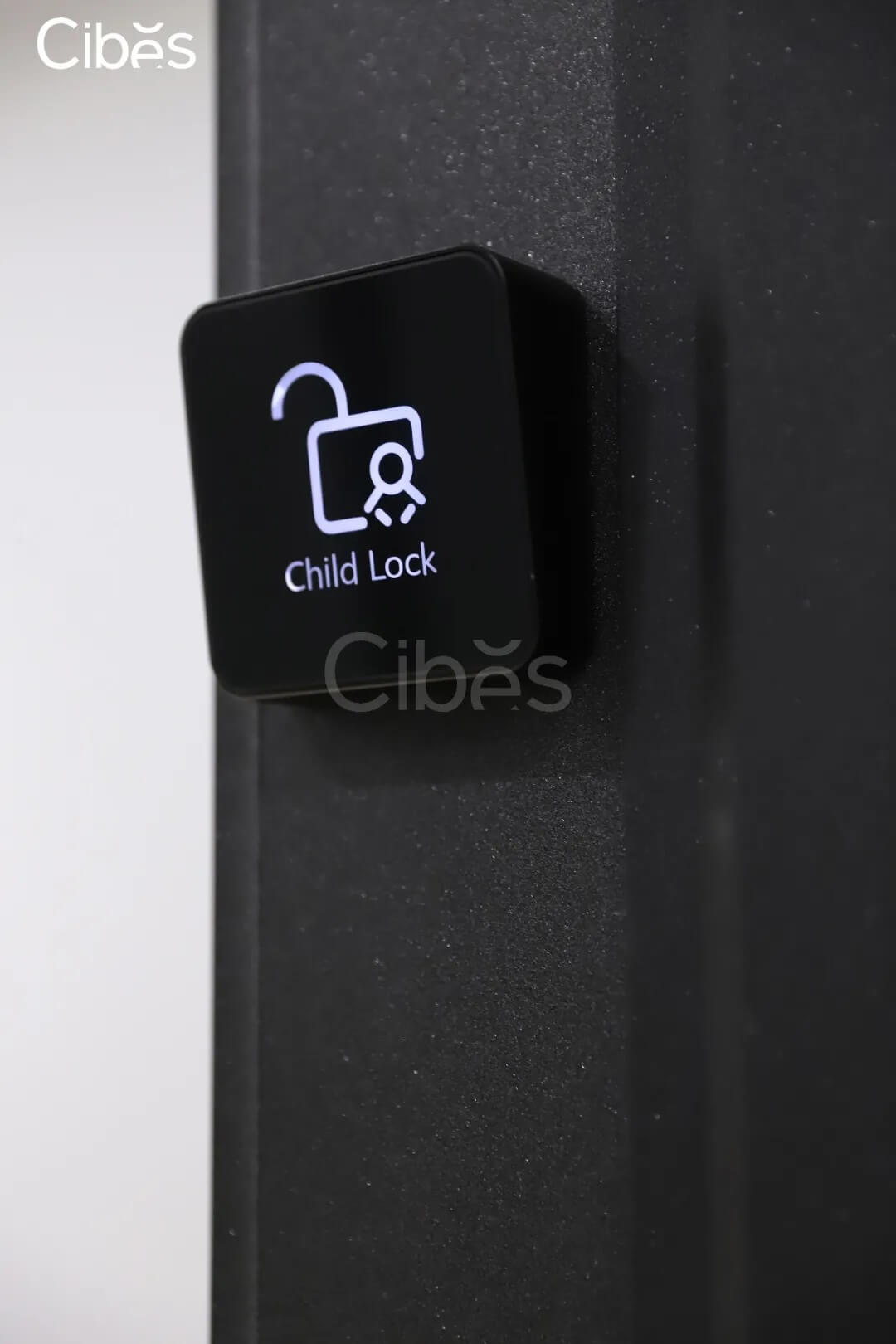 Cibes别墅电梯-自带清静锁功效-图3