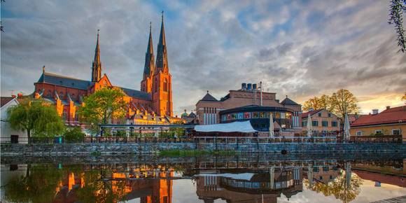 大发500-追求康健,你我一起生长