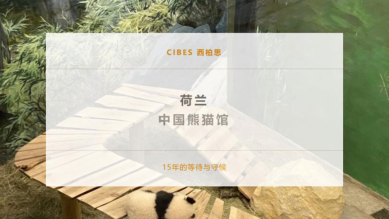 Cibes电梯-荷兰熊猫馆