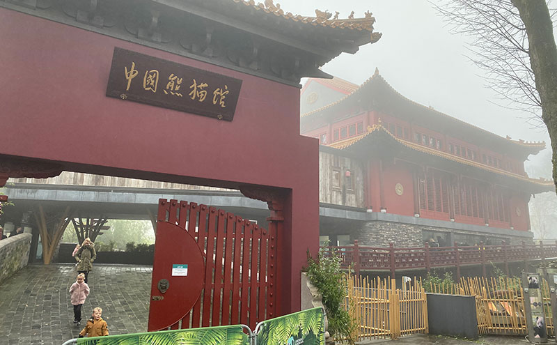 搭乘大发500电梯 遇见可爱的它们——旅居大熊猫