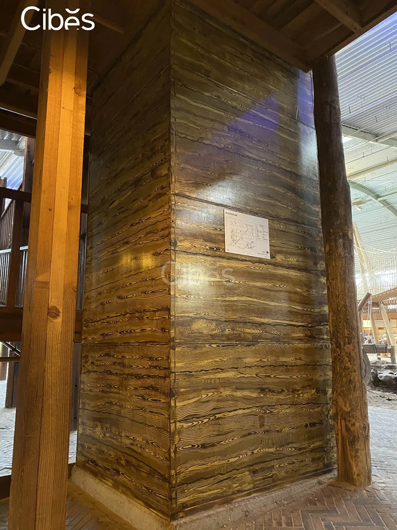 熊猫馆内的cibes电梯图2