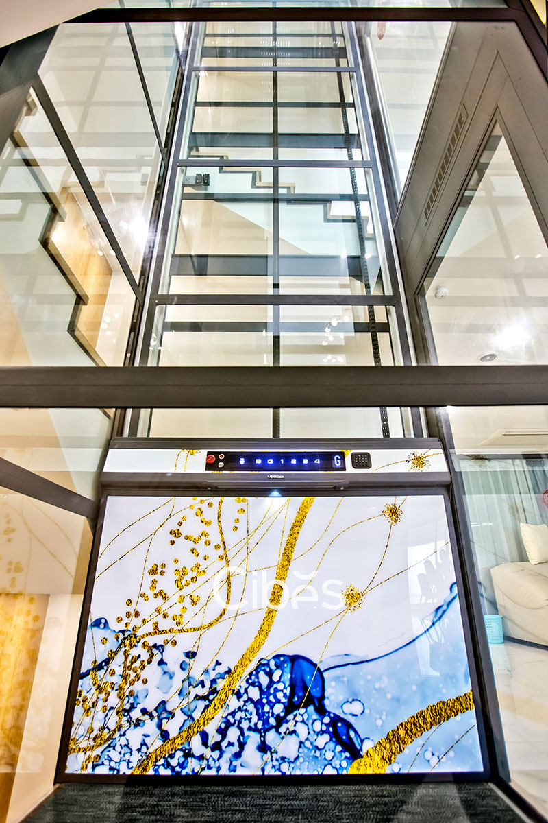 大发500家用电梯-广州装置案例