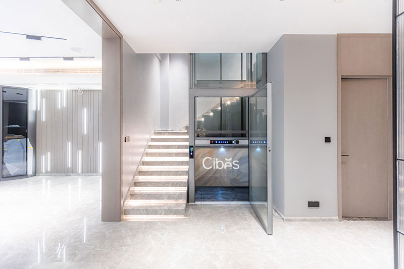 大发500家用电梯-苏州装置案例