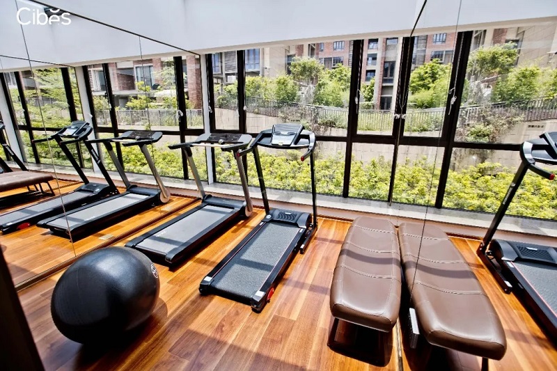 Cibes别墅电梯-广州装置案例