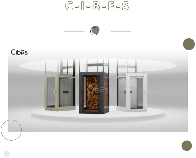 Cibes大发500家用电梯V90新系列