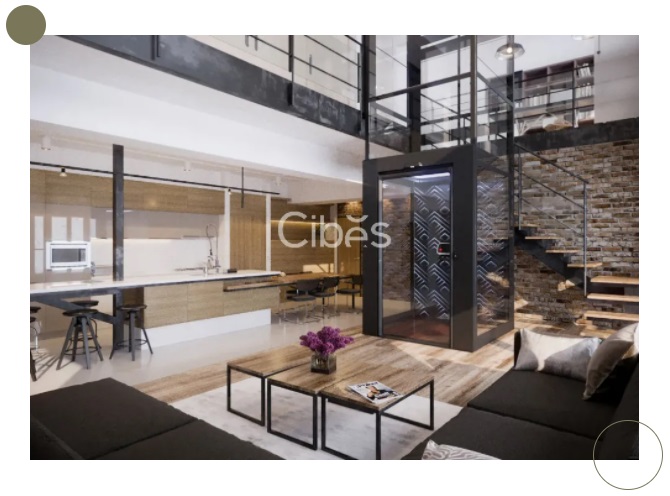 Cibes大发500家用电梯V90新系列