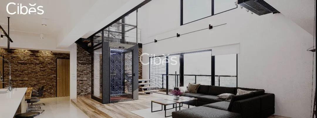 cibes家用别墅电梯-GALAXY星际版系列