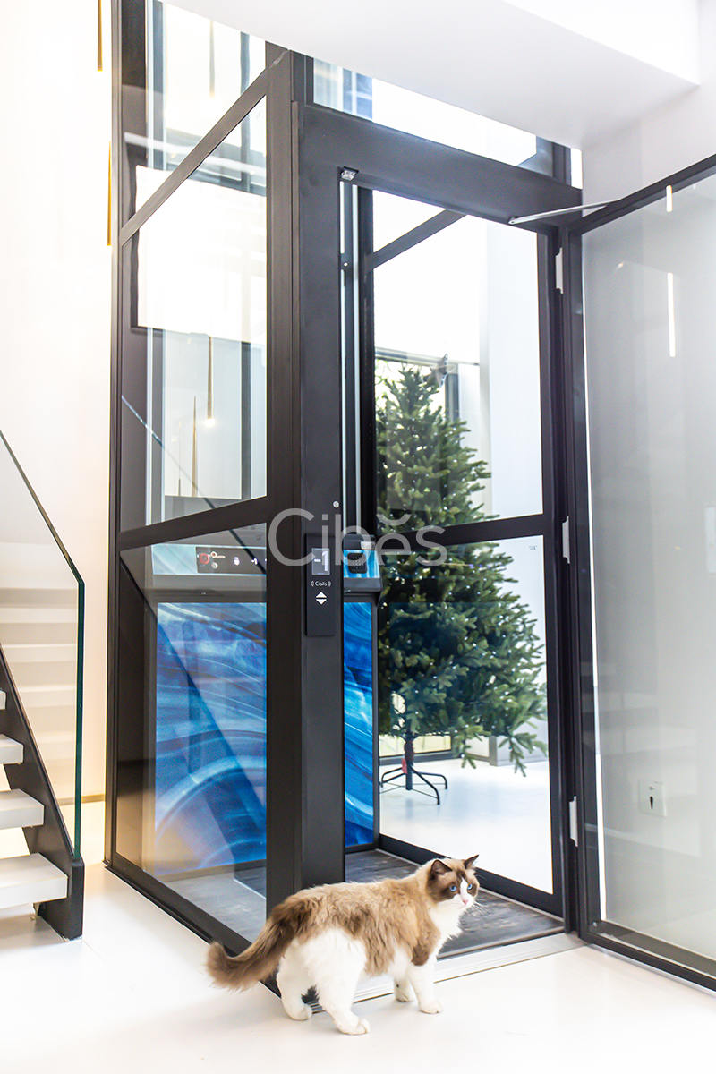 Cibes v80系列别墅电梯装置于广东中山