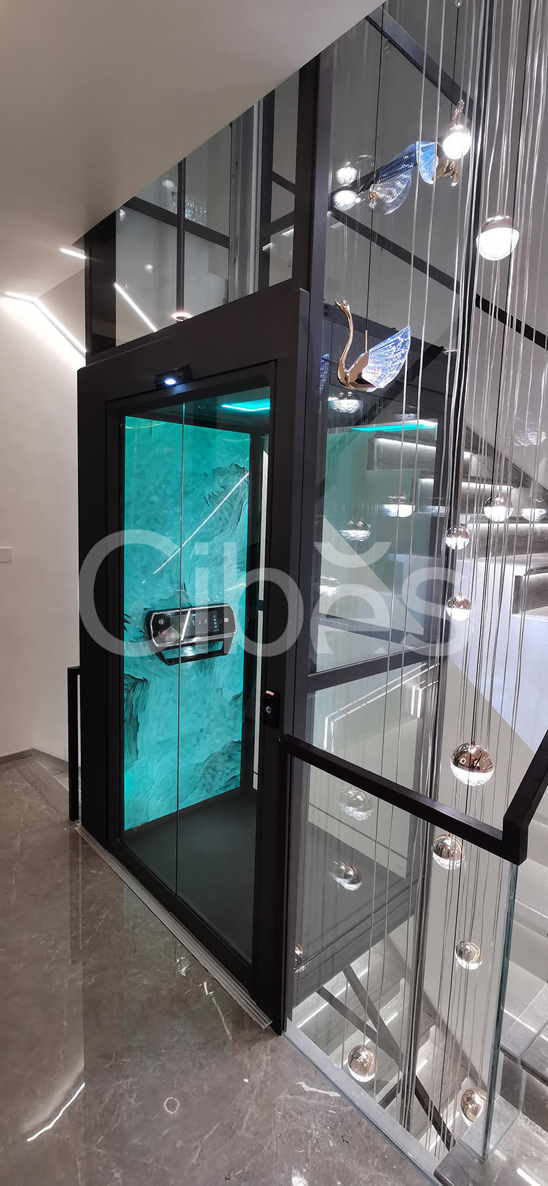 Cibes别墅电梯 V90星际+ 北京装置案例