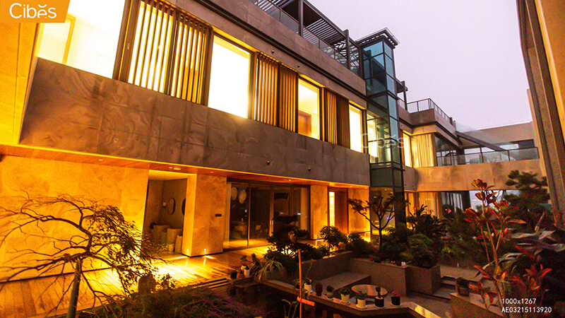 大发500-追求康健,你我一起生长