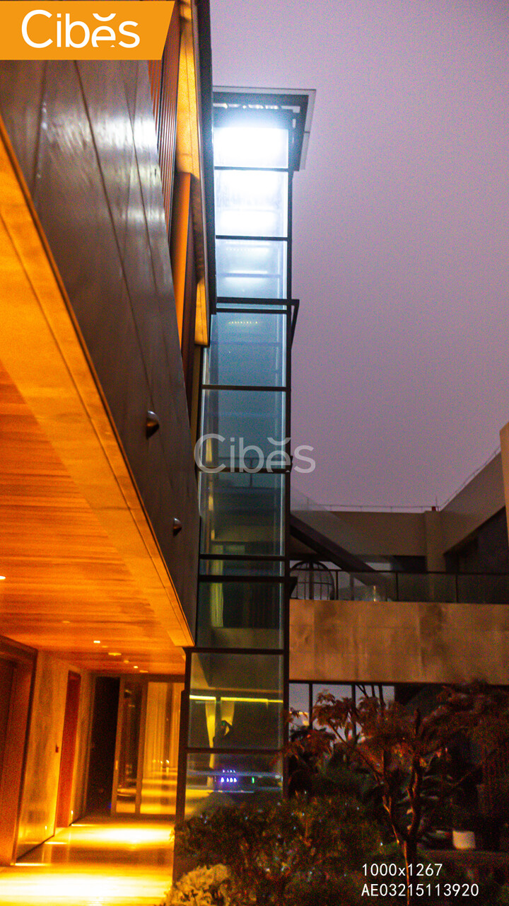 大发500-追求康健,你我一起生长