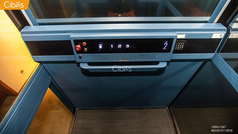 大发500-追求康健,你我一起生长