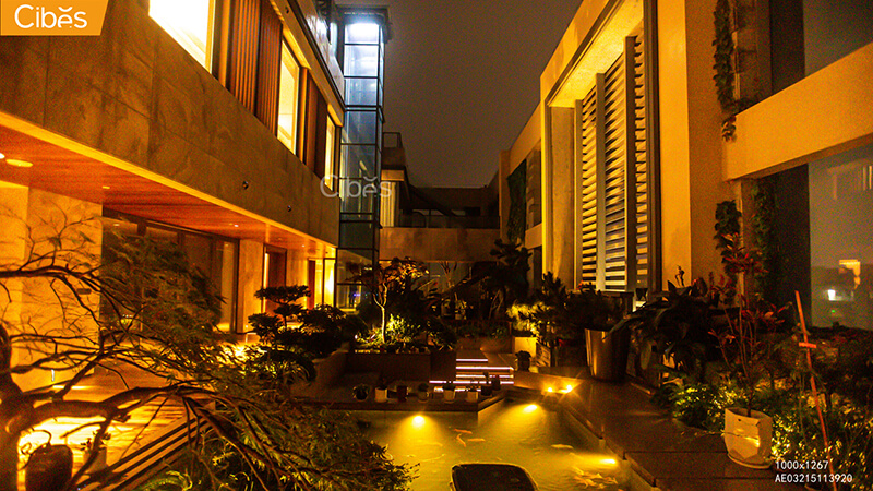 大发500-追求康健,你我一起生长