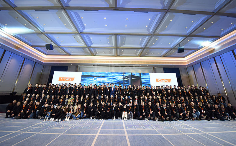 CIBES大发500家用电梯 | 春季销售聚会