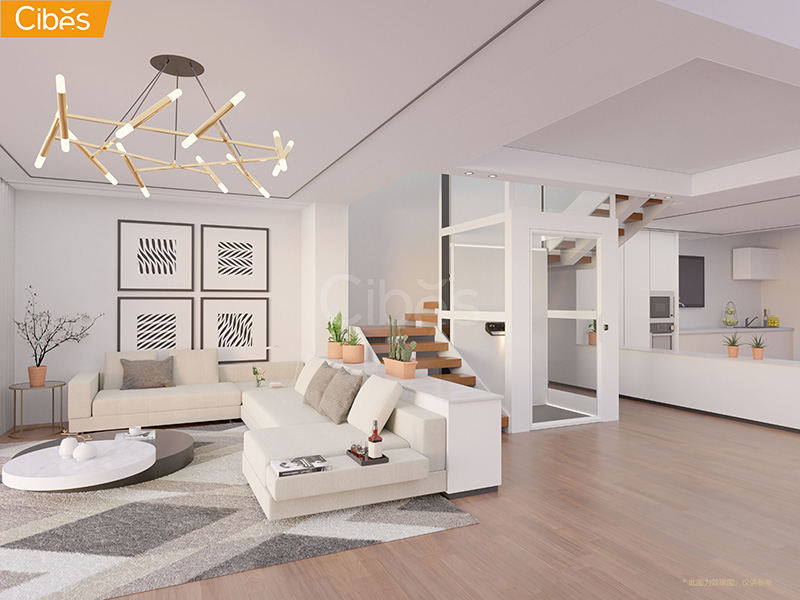 Cibes大发500antera家用电梯