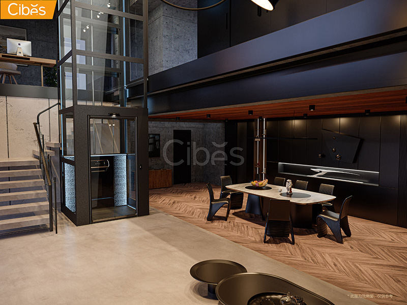 Cibes大发500S80家用电梯