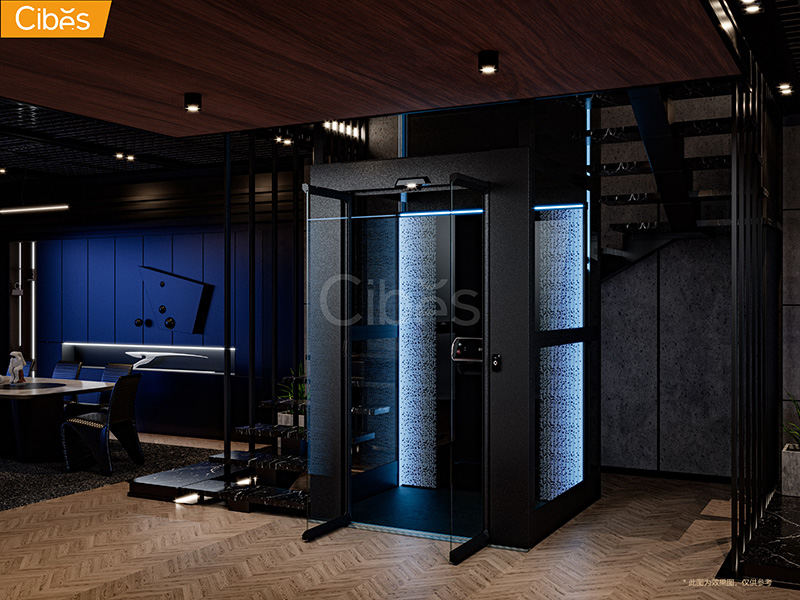 Cibes大发500S85家用电梯