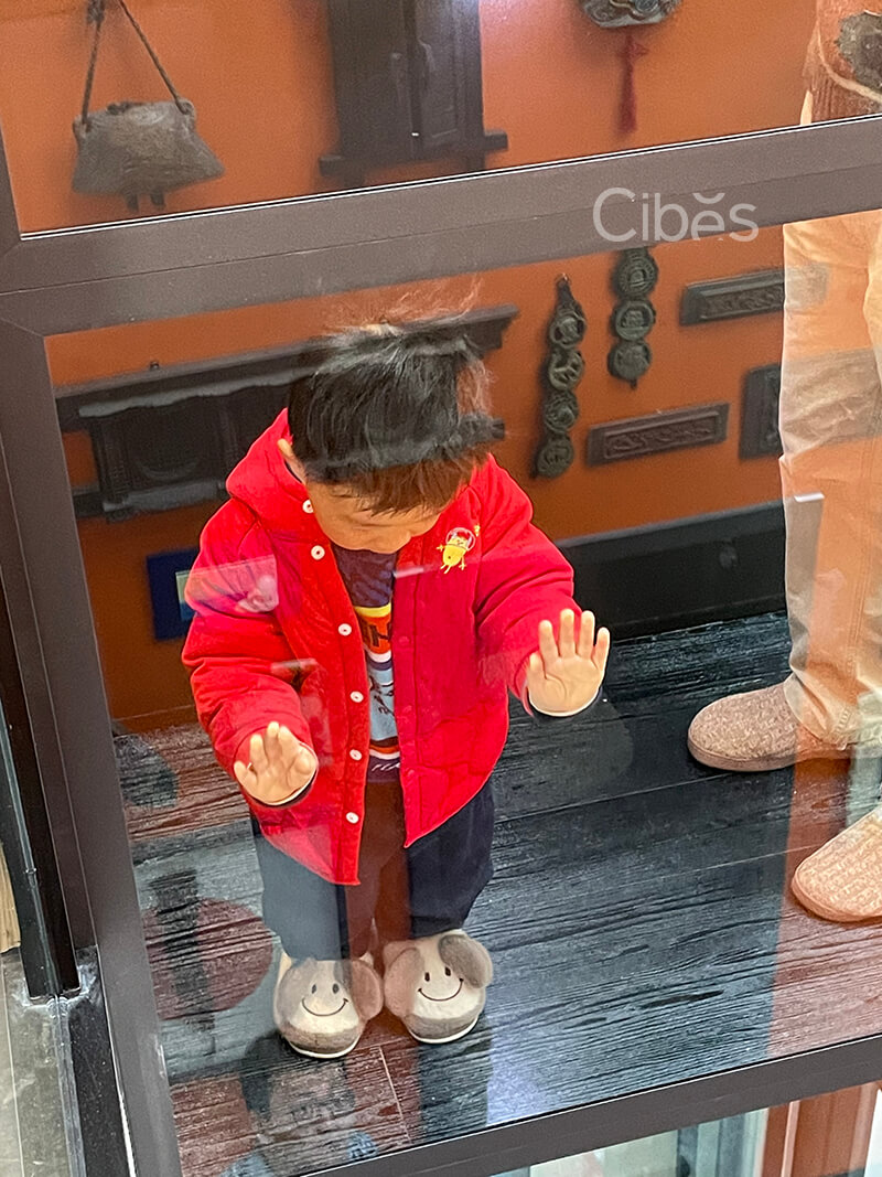 Cibes大发500家用电梯案例