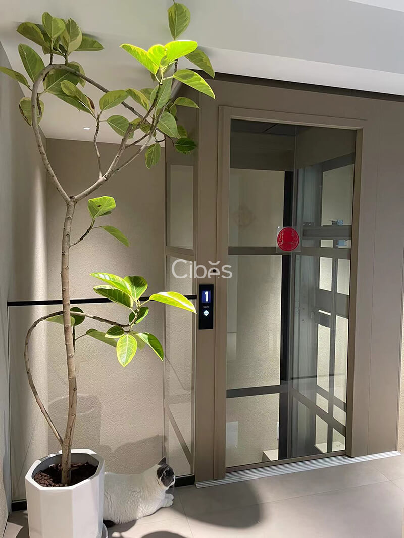 湖南衡阳家用电梯案例