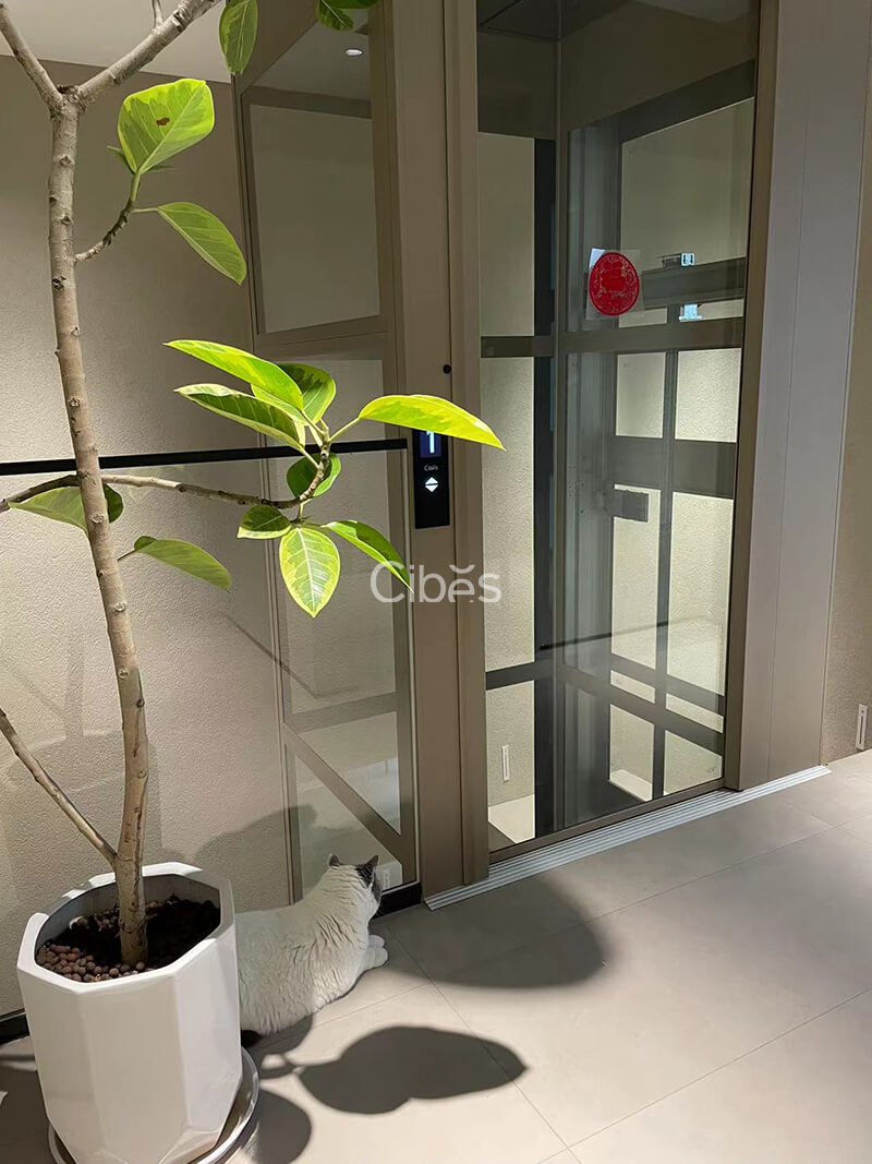 湖南衡阳家用电梯案例