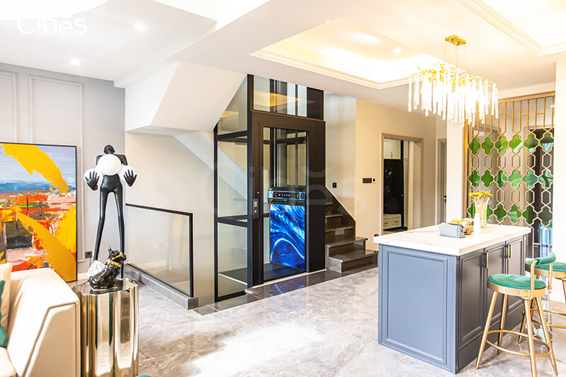 Cibes大发500别墅电梯案例