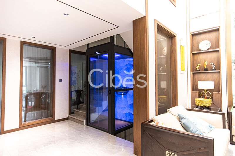 南京Cibes大发500别墅电梯案例