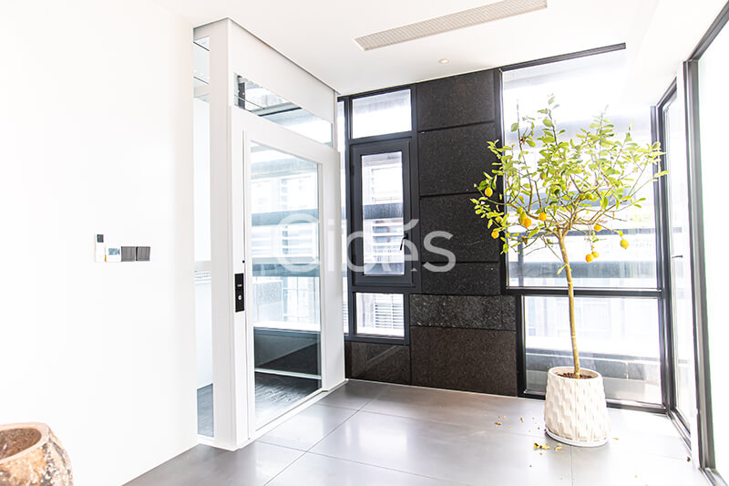 Cibes大发500广东汕头别墅电梯案例