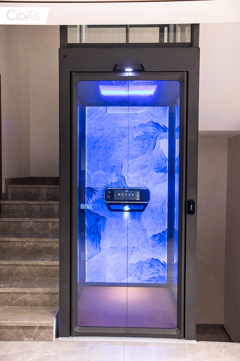 CIBES大发500家用电梯南京案例