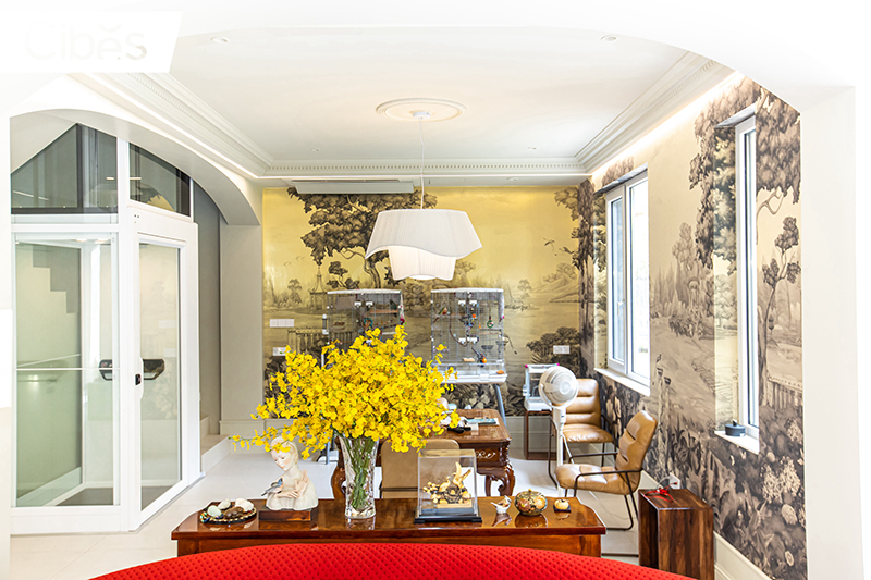 江苏镇江家用电梯案例