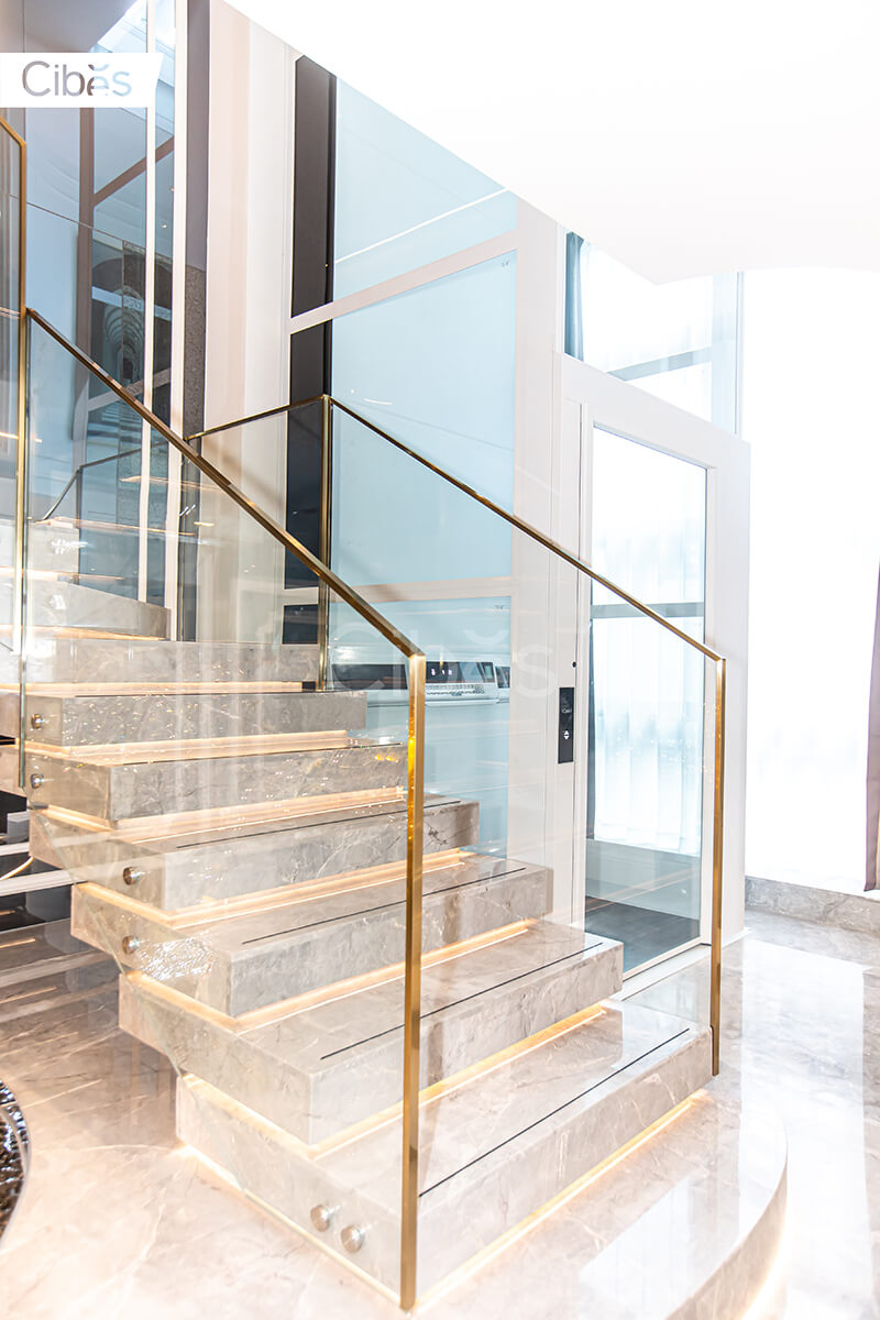 CIBES大发500电梯汕头装置案例