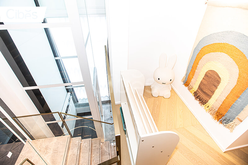 CIBES大发500电梯汕头装置案例